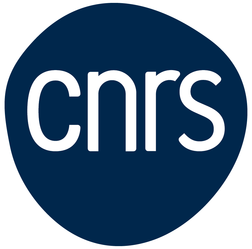 Logo CNRS fond bleu