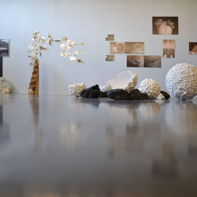 Laurence Nicola, vue de l'exposition Paysage de rêve, Centre d'art contemporain Aponia, Villier sur Marne, 2019. Photo L. Nicola