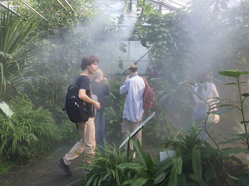 Les étudiants de l'UBO et de l'EESAB visitent les serres du Conservatoire botanique national de Brest, en vue de la venue de Gilles Clément. 17 octobre 2024.