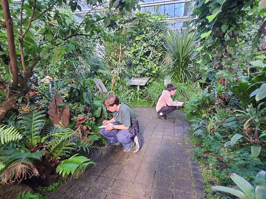 Les étudiants de l'UBO et de l'EESAB visitent les serres du Conservatoire botanique national de Brest, en vue de la venue de Gilles Clément. 17 octobre 2024.