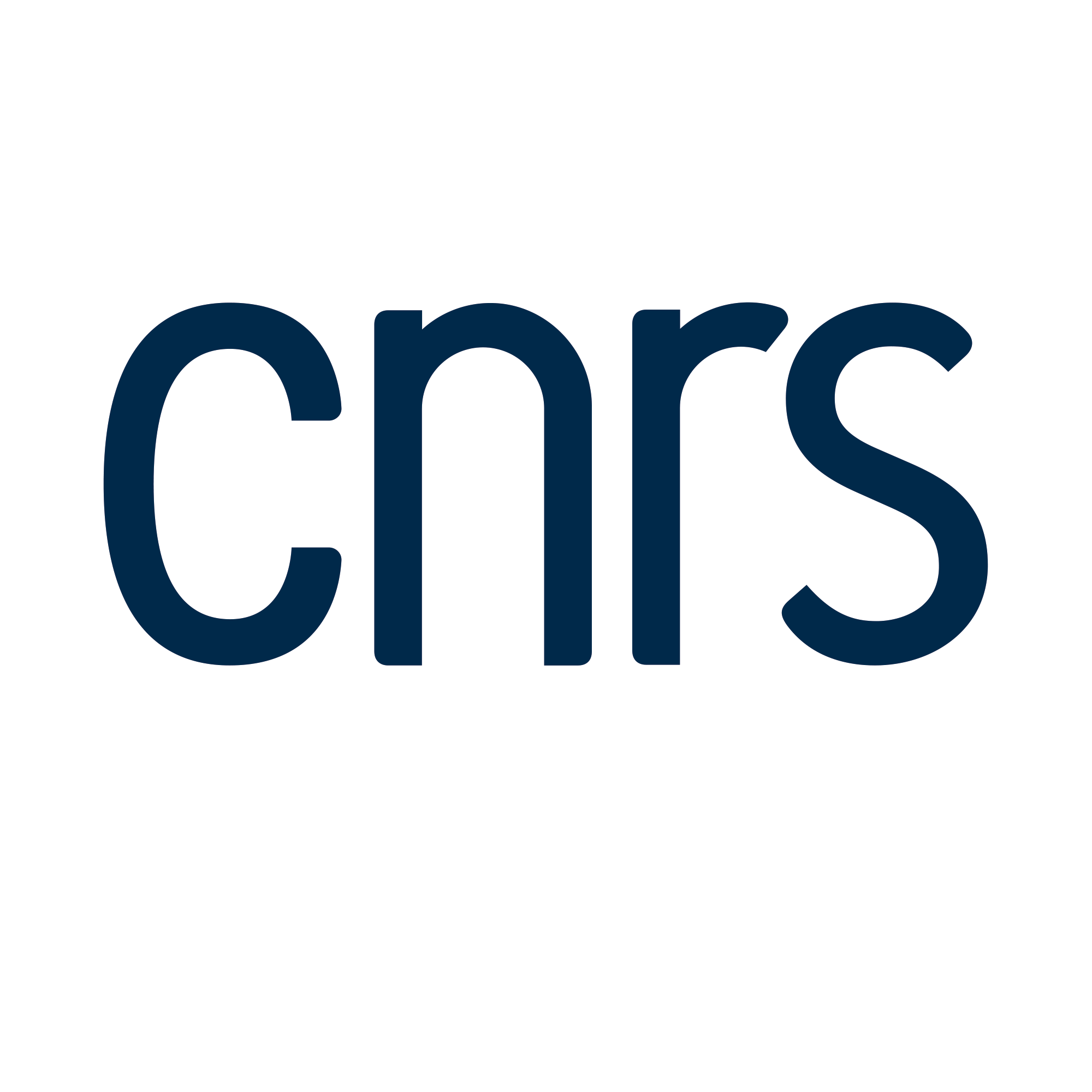 Logo CNRS fond blanc