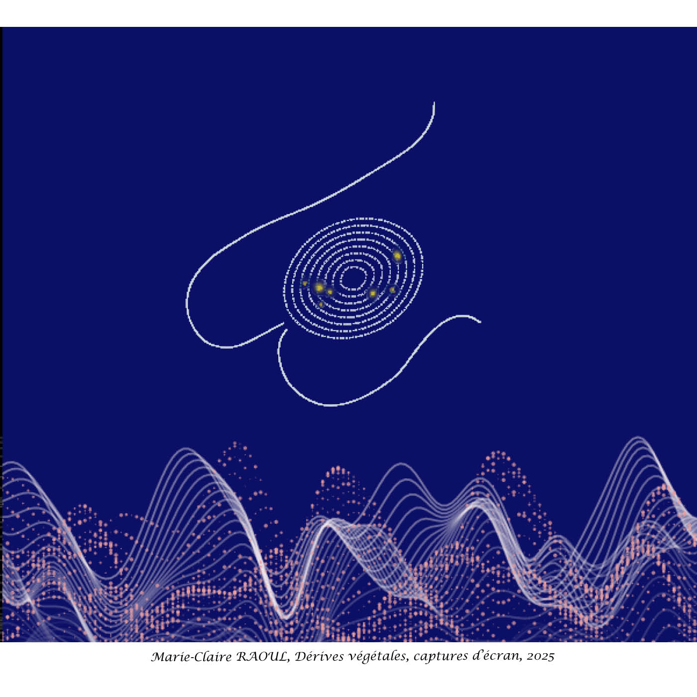 Visuel Marie-Claire Raoul, dérives végétales, 2025